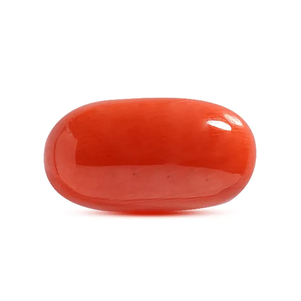 Red Coral - 8.67 carats