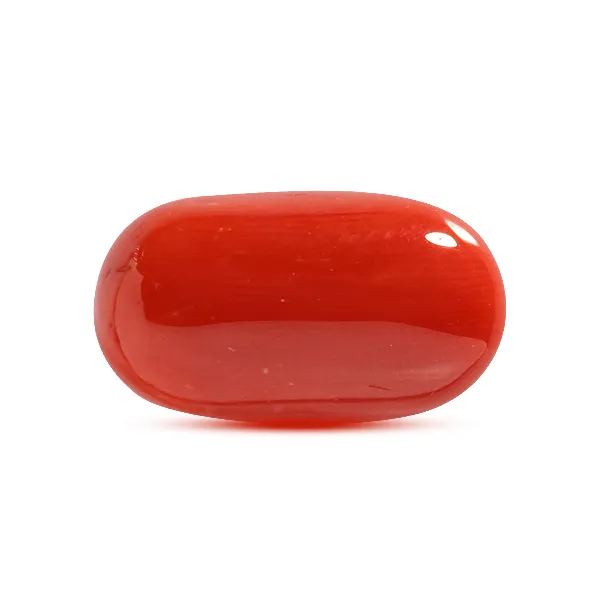 Red Coral - 8.77 carats