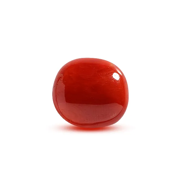 Red Coral - 9.09 carats