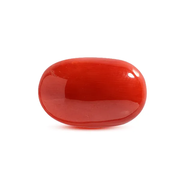 Red Coral - 9.17 carats