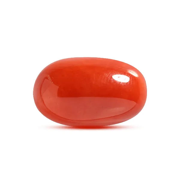 Red Coral - 9.2 carats