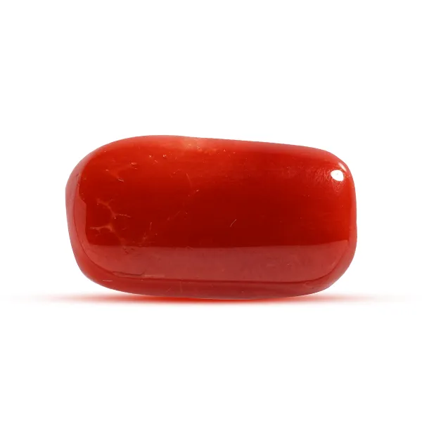 Red Coral - 9.56 carats