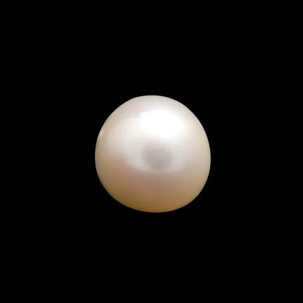 South Sea Pearl - 7.31 carats