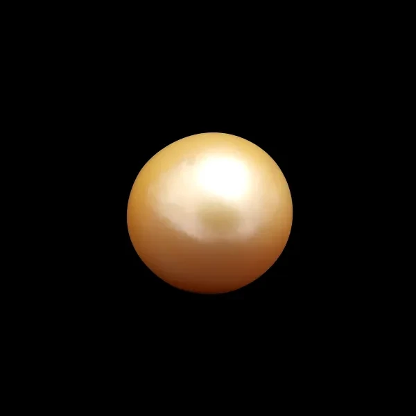 South Sea Pearl - 8.84 carats